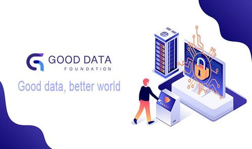 互联网时代数据服务的未来路径